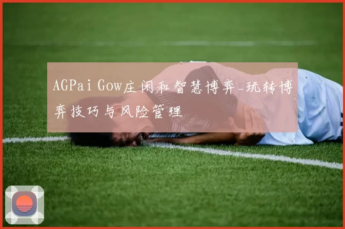 AGPai Gow庄闲和智慧博弈_玩转博弈技巧与风险管理