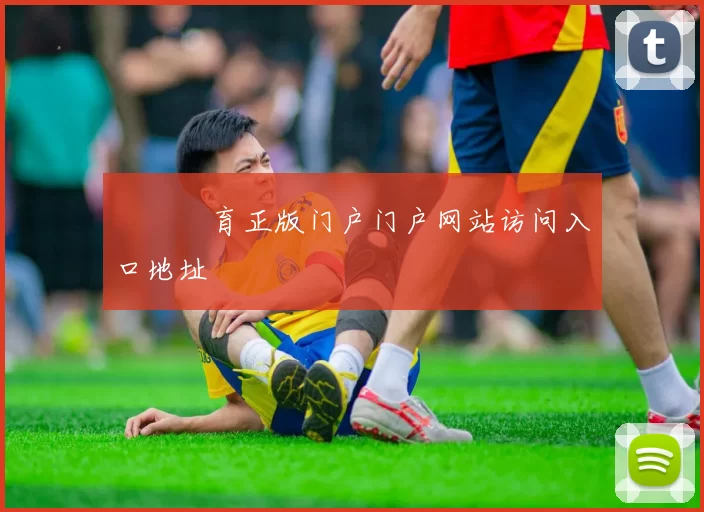開雲體育正版门户门户网站访问入口地址