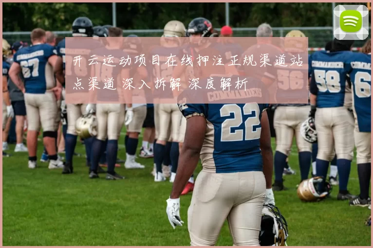 开云运动项目在线押注正规渠道站点渠道 深入拆解 深度解析