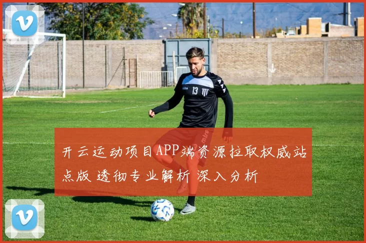 开云运动项目APP端资源拉取权威站点版 透彻专业解析 深入分析