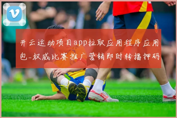 开云运动项目app拉取应用程序应用包_权威比赛推广营销即时转播押码站 深度解析