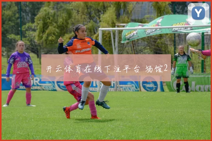 开云体育在线下注平台 场馆2